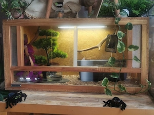 Terrarium 60 x 40 x 40 Holz 