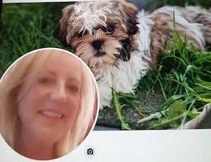 Fitte Rentnerin mit kl.Hund sucht Wohnung gegen Hilfe. Warmmiete bis 600 