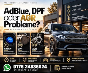 Diagnose & Reparatur Adblue Nox DPF AGR Fehler Störung 
