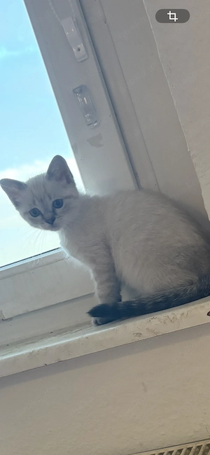 BKH Mädchen 13 Wochen 