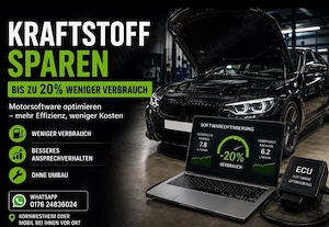 Eco-Tuning Verbrauchsoptimierung AGR Adblue DPF 