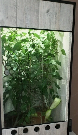 Terrarium 60-60-120 cm