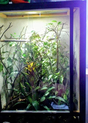 Terrarium 80-50-100cm 