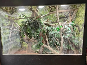 Terrarium 180-60-160 cm