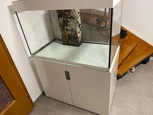 Meerwasser Aquarium 
