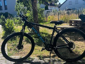 berlin bike mountain bike 29 zoll XL rahmen 