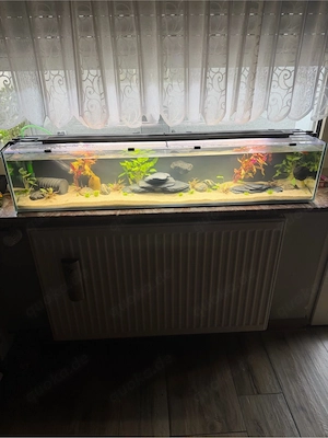 Aquarium 100x20x20 cm mit Fluval AquaSky 3.0 LED & Zubehör
