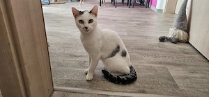 Nanni sucht ein liebevolles neues Zuhause   