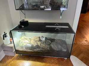 Großes Bioaktives Terrarium 