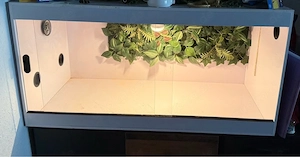 Hochglanz weißes Terrarium 100x50x50