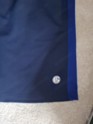 Schalke Hose kurz