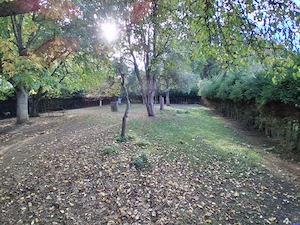 Gartengrundstück 