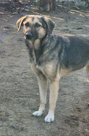 Rita sucht ihren Herzensmensch