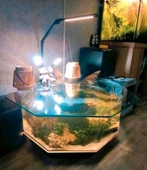 Süßwasser Aquarium Tisch 140 Liter Zu Verkaufen !!