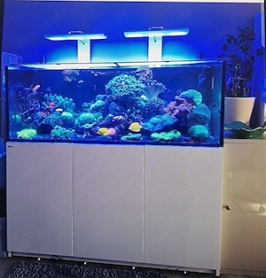Red Sea Reefer 450 Meerwasseraquarium Komplettset