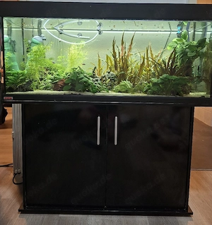 240L Aquarium 
