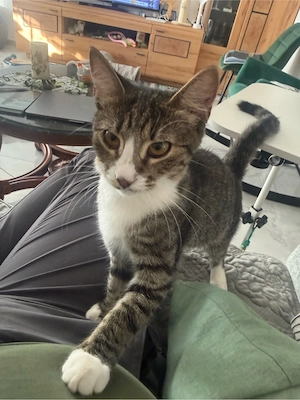 Beta eine tolle Mädchen 