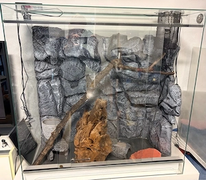Glasterrarium mit umfangreichen Zubehör für Reptilien 100 x 100 x 50cm