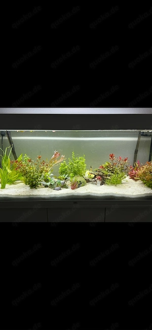 Juwel Aquarium 240 Liter mit Unterschrank und Zubehör   Weiß