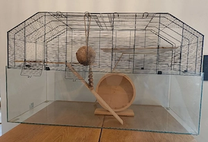 Großer Nagerkäfig mit Glasboden und Holzausstattung