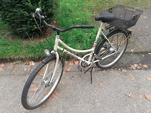 Damenrad, von Hercules, 7-Gang-Nabenschaltung, RH 51 cm, Fahrradkorb, Service gemacht