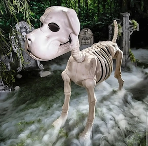 Halloween deko Hundeskelett