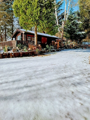 Naturidyll am Distelberg -1647m  mit Blockhaus und Terrasse 