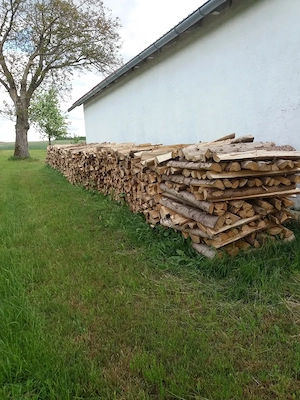 Brennholz Fichte