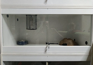 Weißes Terrarium mit Glasschiebetüren