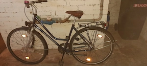 Damenfahrrad Bossbikes