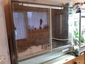 Terrarien zu verkaufen