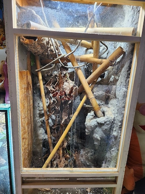 OSB Terrarium 