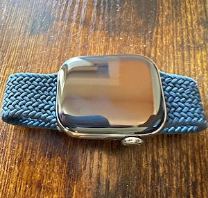 Apple Watch Series 10 GPS+LTE 42mm Titanium Silver Case Blue Fabric Band