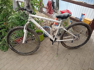 Mountainbike 29 Zoll 