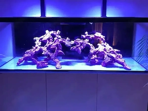 Aqua Medic Meerwasser Aquarium 160x65x55cm mit EpoReef