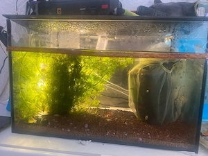  aquarium komplett 