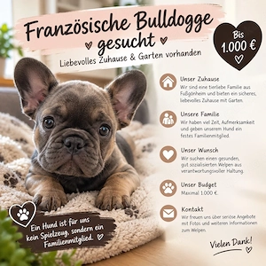 Französische Bulldogge gesucht   liebevolles Zuhause & Garten vorhanden      bis 1.000  