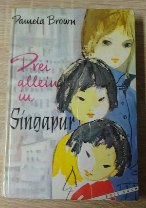 Drei allein in Singapur von Pamela Brown