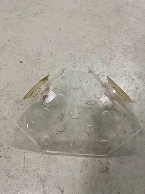 Korallen-Frag-Rack aus Acryl mit Saugnäpfen   Ablegerhalter