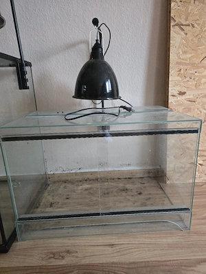 Terrarium 60x40x40