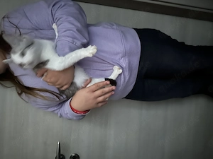 Bildhübsches Katerchen 