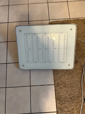 Meerwasser LED Philips Coral Care