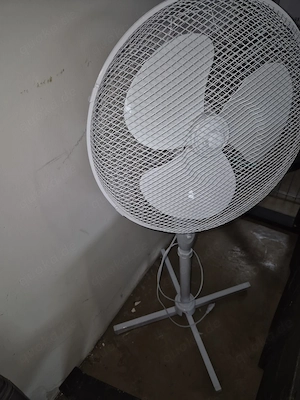 Oszillierender Ventilator oscillating fan (lufter)