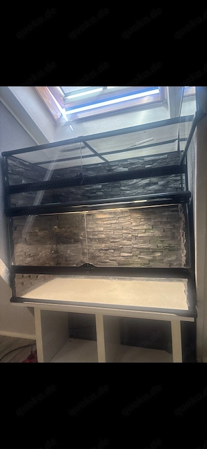8 exo  terarium verschiedene 