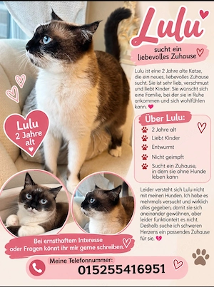 Lulu sucht ihr ruhiges Zuhause 