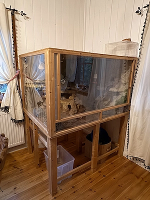 Terrarium mit Zubehör und Leopardgeckos 