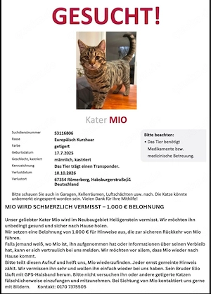 Getigerte Katze vermisst - Finderlohn 1000 