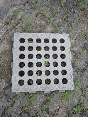 INB Paddockplatten