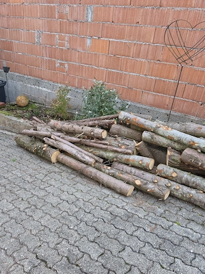 Holz kostenlos abzugeben!