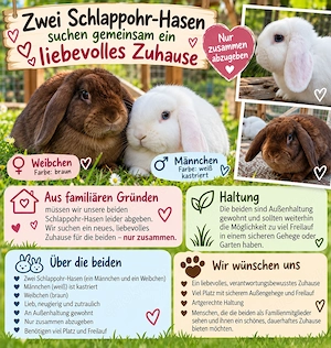 Liebevolles Zuhause gesucht